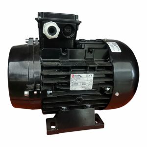 Động cơ điện Nicolini xoay chiều 3 pha 5.5KW 230V/400V Double Flange