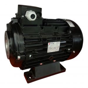 Động cơ điện Nicolini xoay chiều 3 pha 5.5KW 230V/400V Hollow Shaft