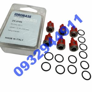 Bộ Van Một Chiều KR13 ( Kranzle )