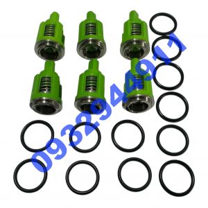 Bộ Van Một Chiều KR12 ( Kranzle )
