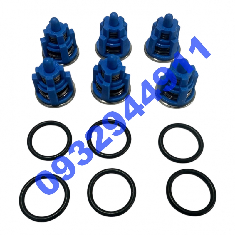 Bộ Van Một Chiều Bertolini B123