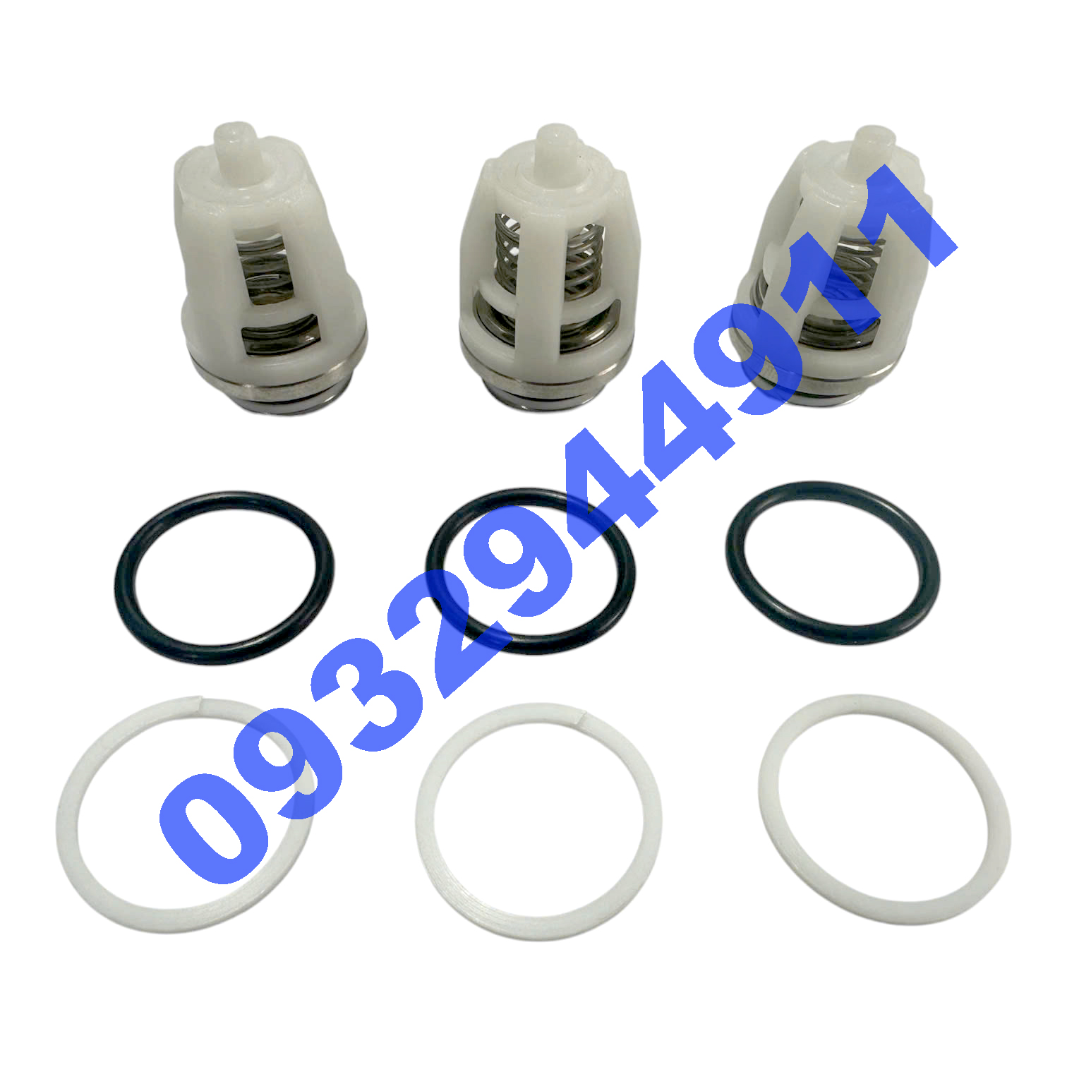 Bộ Van Một Chiều CAT PUMP ( MW ) C13