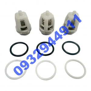 Bộ Van Một Chiều CAT PUMP ( MW ) C13
